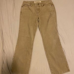 Loft Neutral Corduroy Pants